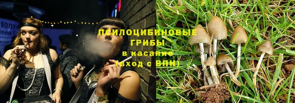 крисы Богданович