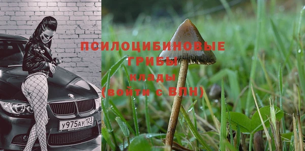 дживик Беломорск