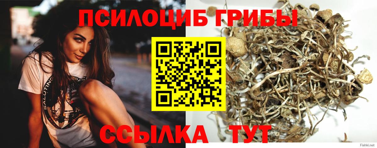 Среднеуральск  Псилоцибиновые грибы мицелий  даркнет сайт  Вход с VPN 